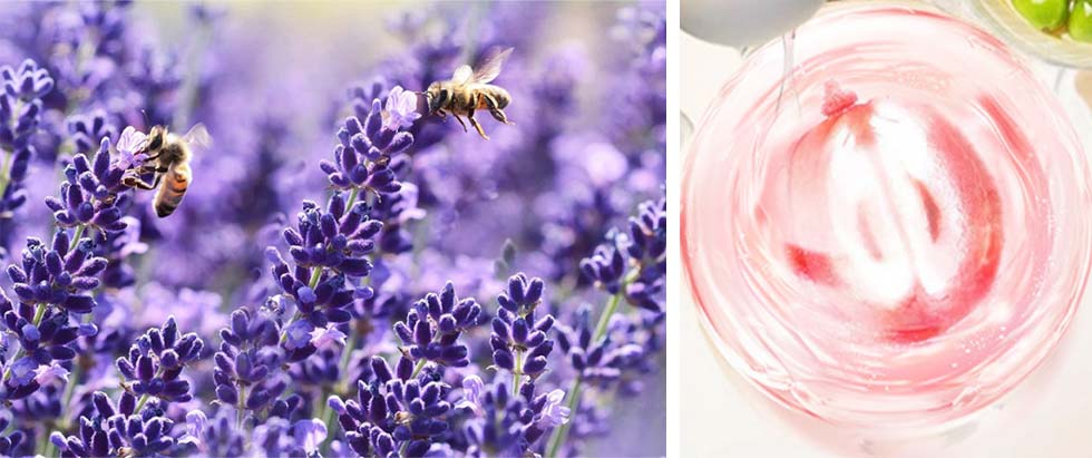 Natural astringent and balancing essential oil